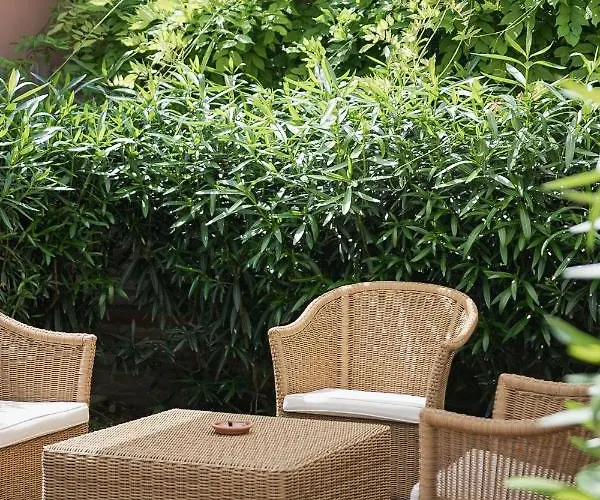 招待所 Boutique 3 0 4*